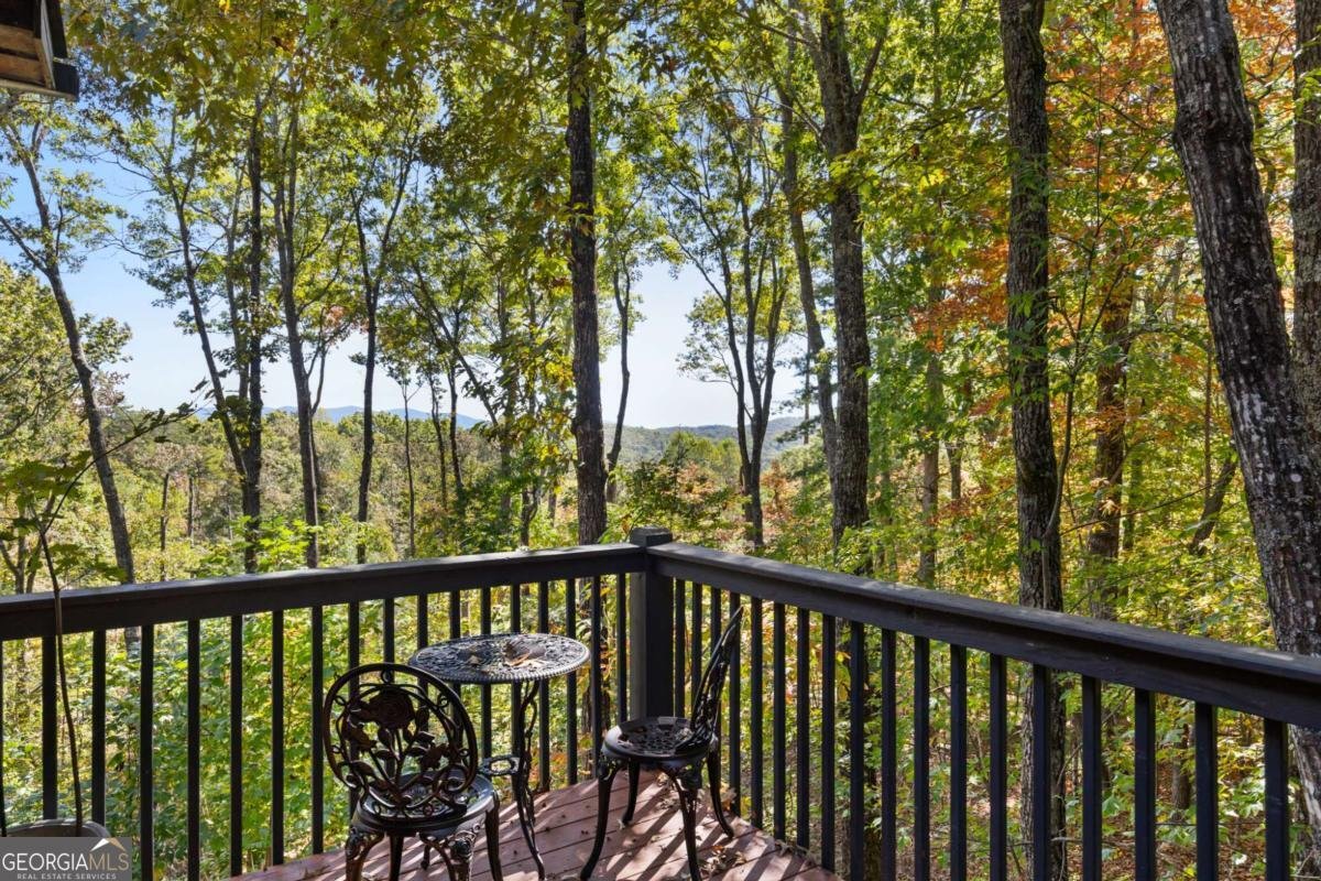 99 Chestnut Hills Lane Blue Ridge - 4