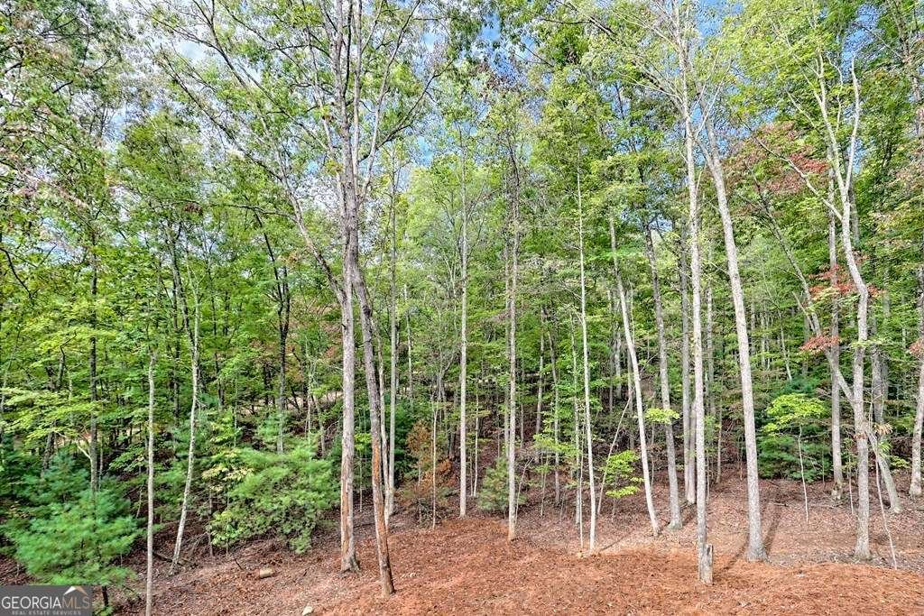 693 Goldmine Road Morganton - 20