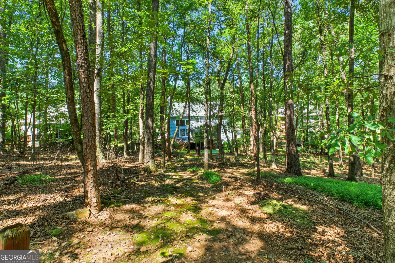 87 Grand Avenue Suwanee - 63
