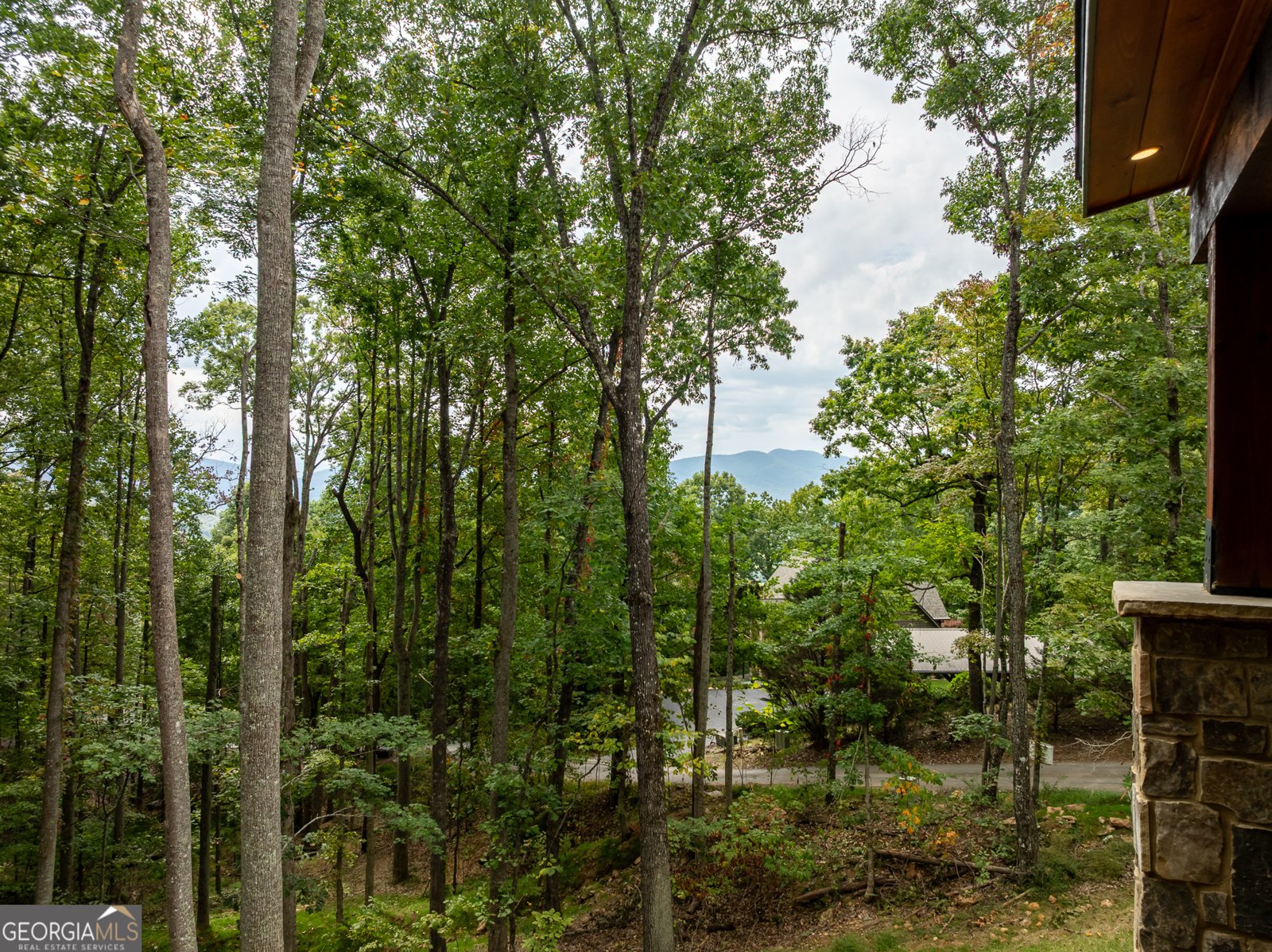 4474 Twiggs Road Young Harris - 5