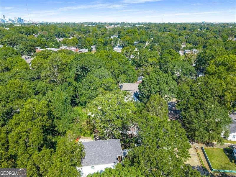 271 Haas Avenue Atlanta - 65