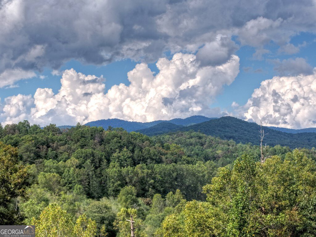 421 Salem Valley Road Mineral Bluff - 8