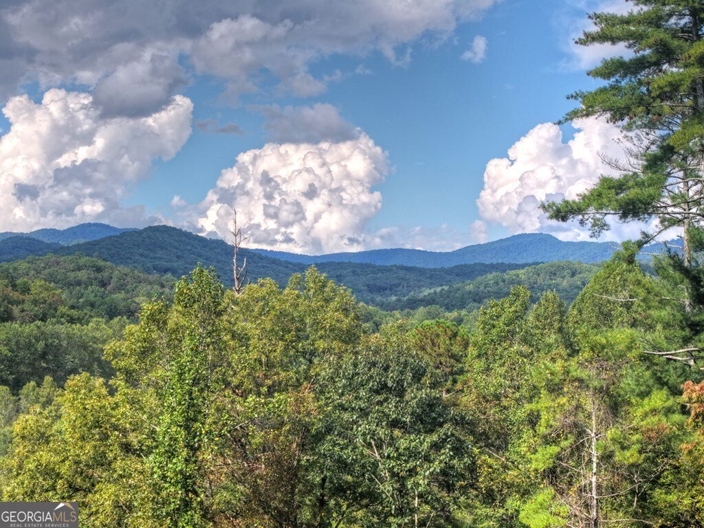 421 Salem Valley Road Mineral Bluff - 9