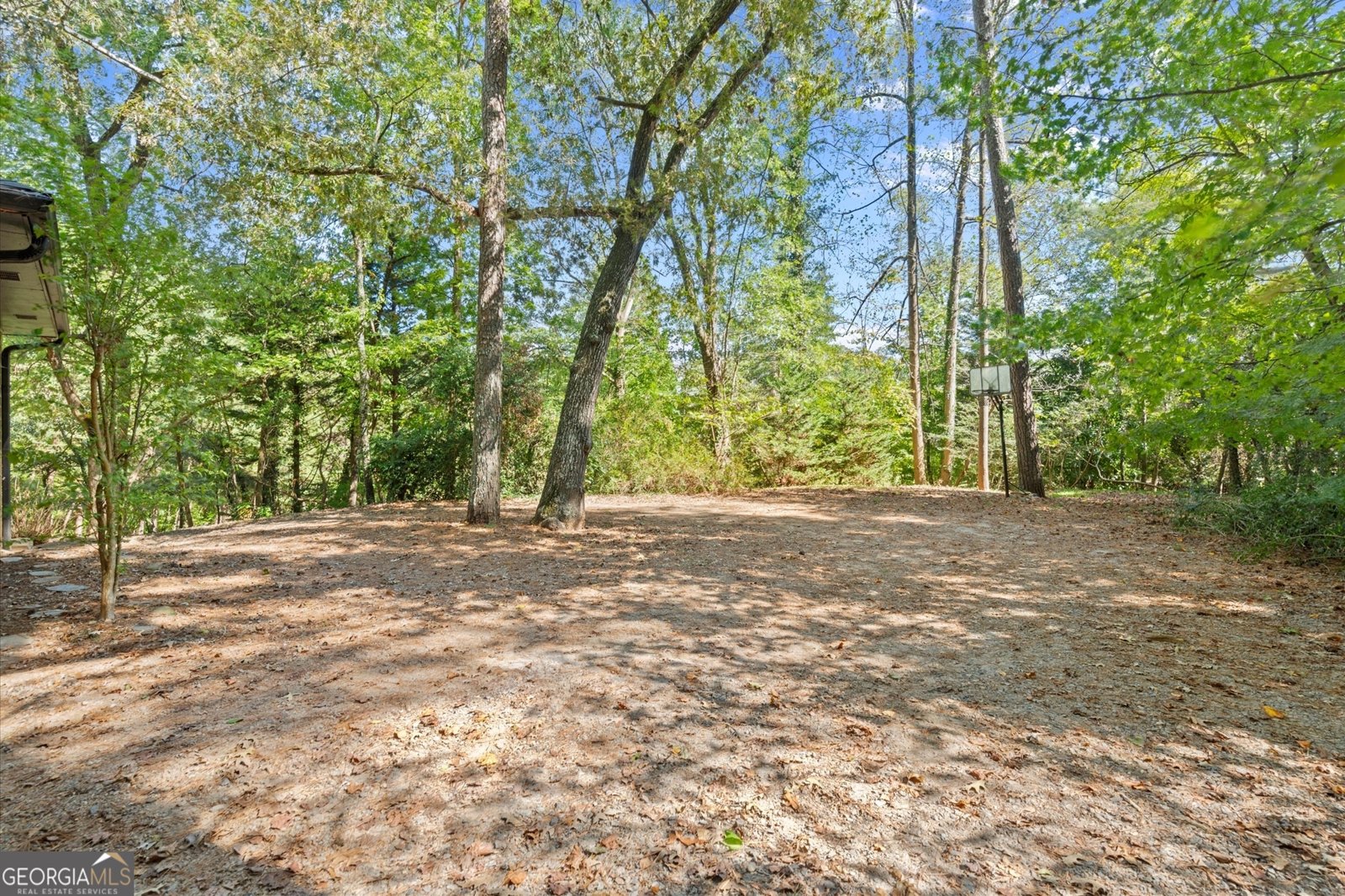 9705 Coleman Road Roswell - 12