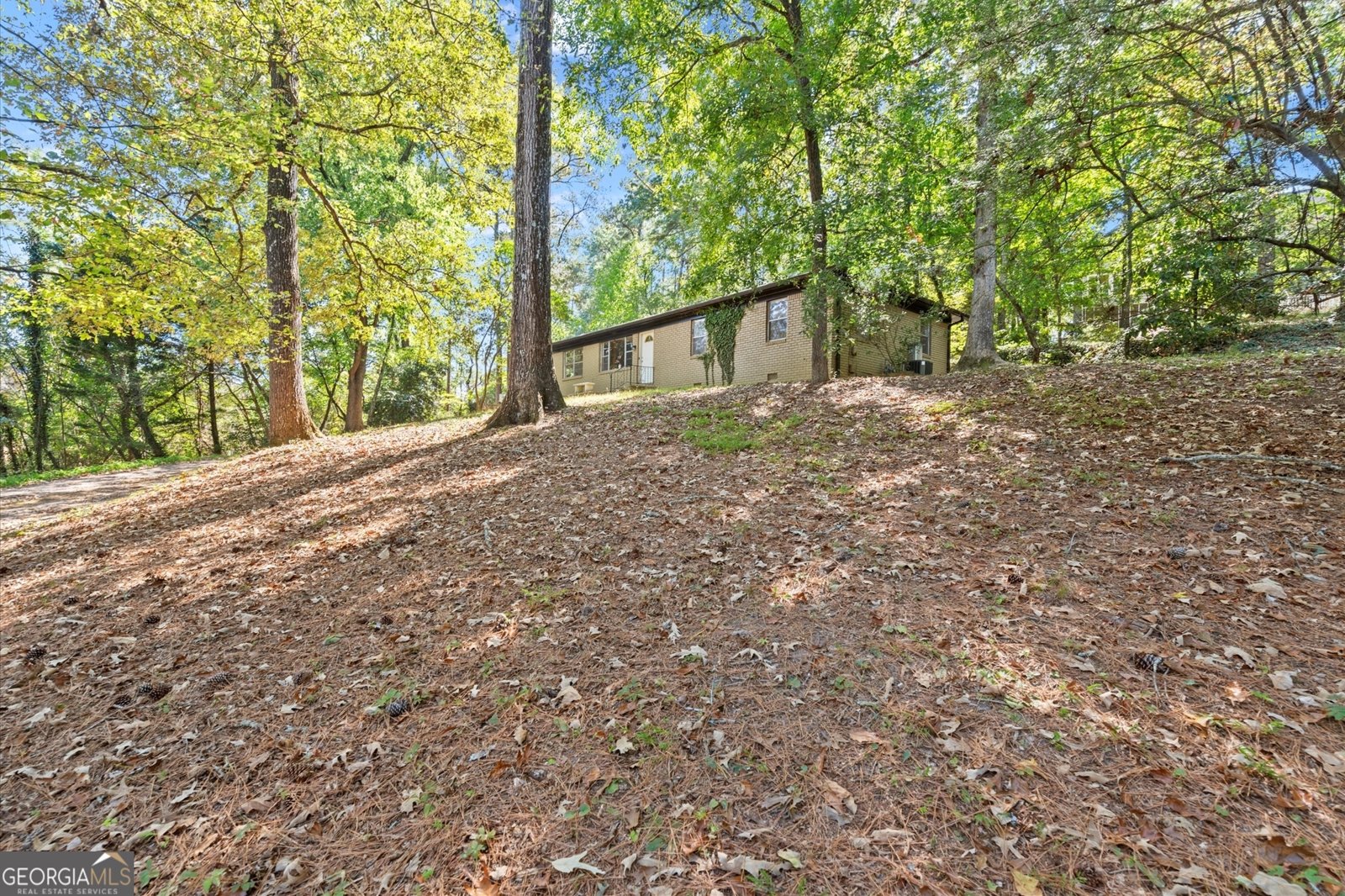 9705 Coleman Road Roswell - 17