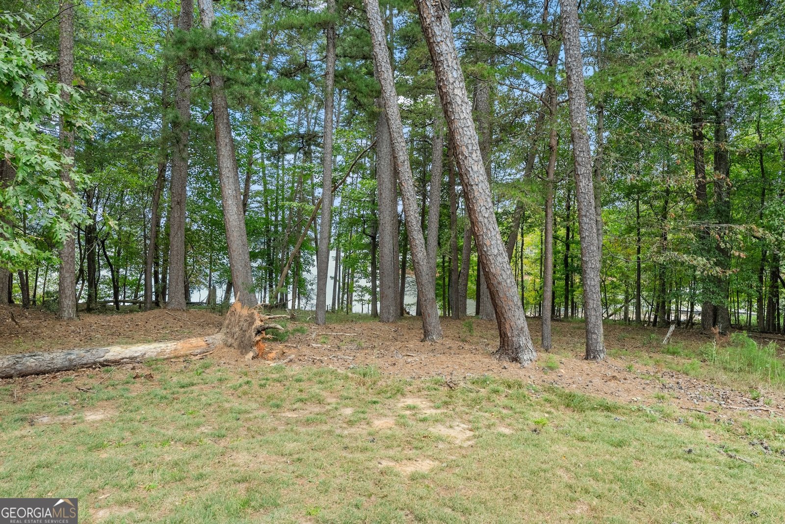3464 Maynard Circle Gainesville - 42