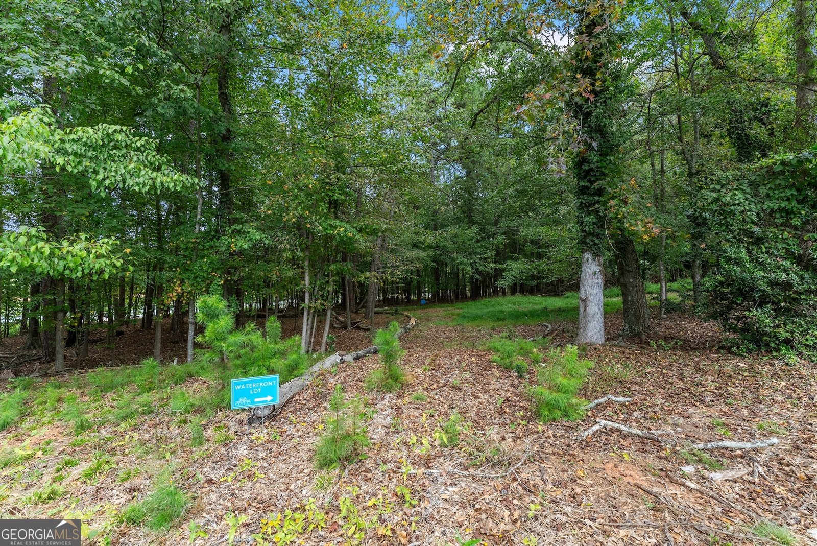 3464 Maynard Circle Gainesville - 44