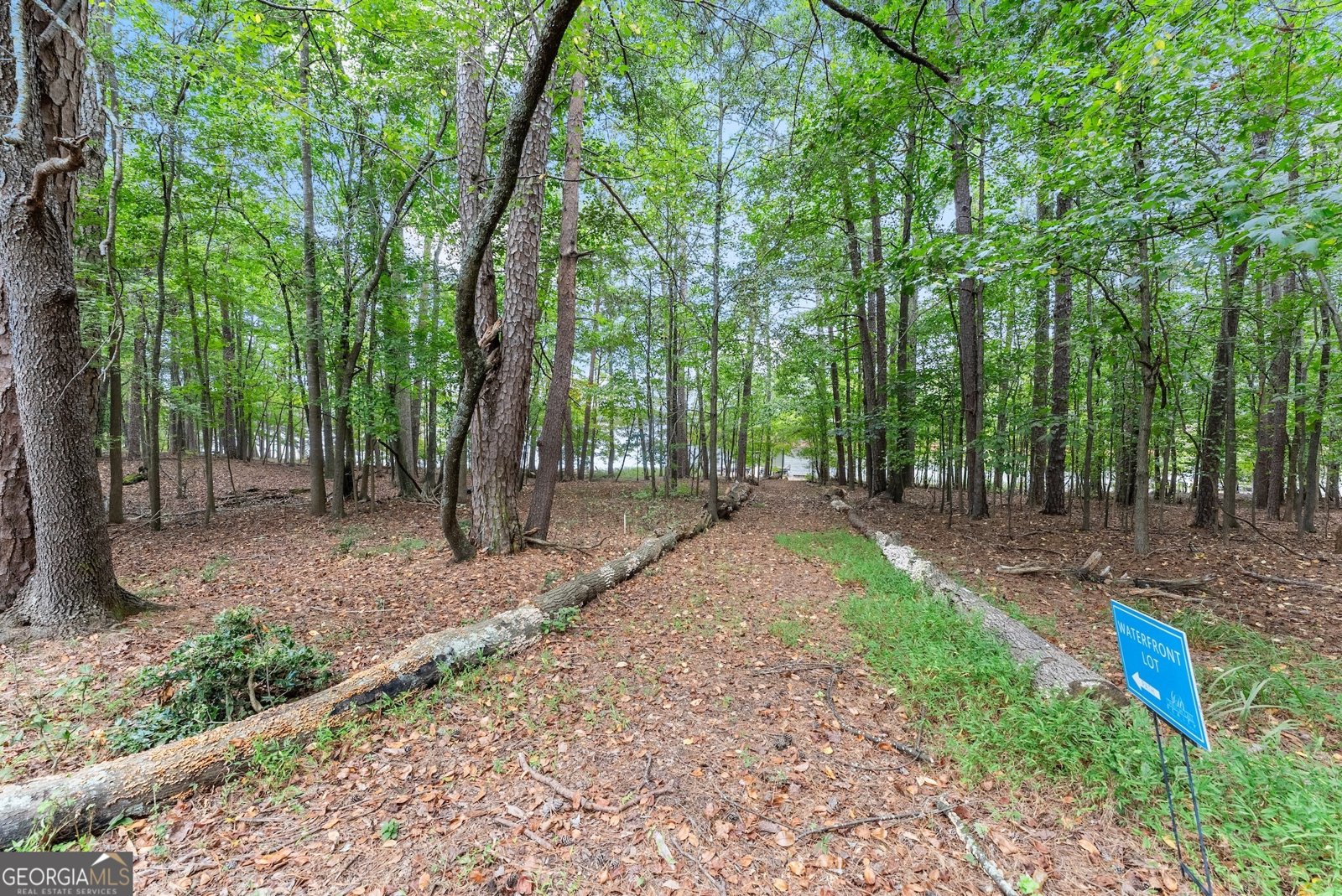 3464 Maynard Circle Gainesville - 45
