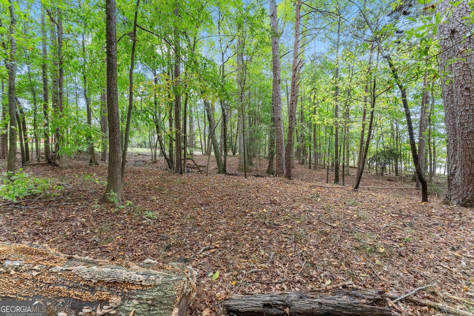3464 Maynard Circle Gainesville - 48