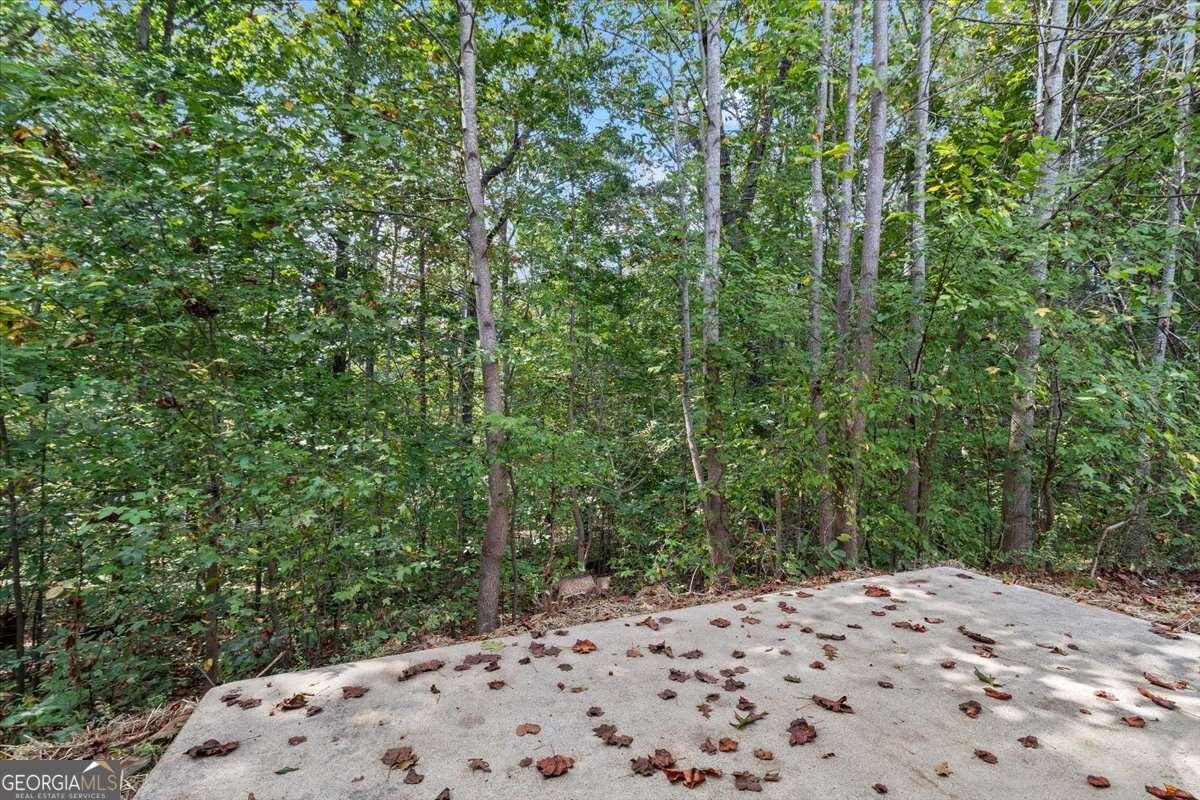 31 Trayton Way Hiram - 35