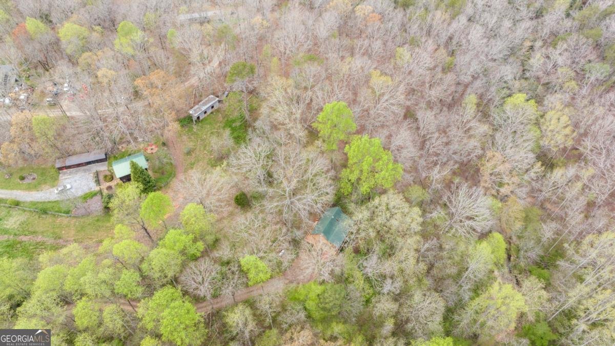 87 Tolleffs Trail Dahlonega - 2