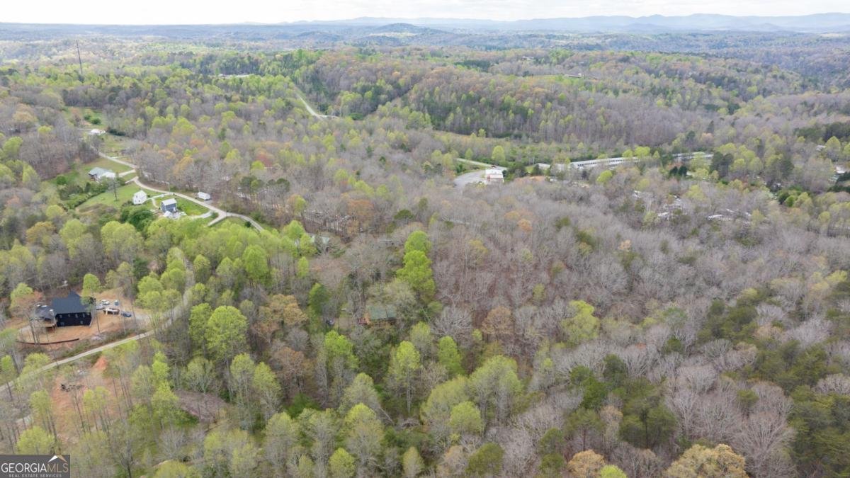 87 Tolleffs Trail Dahlonega - 3