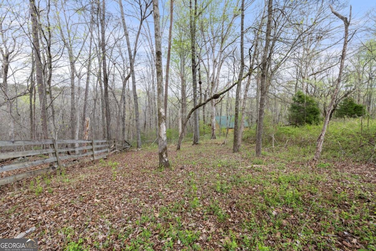 87 Tolleffs Trail Dahlonega - 50