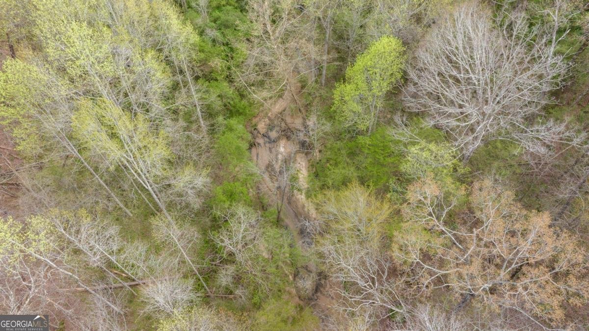 87 Tolleffs Trail Dahlonega - 56