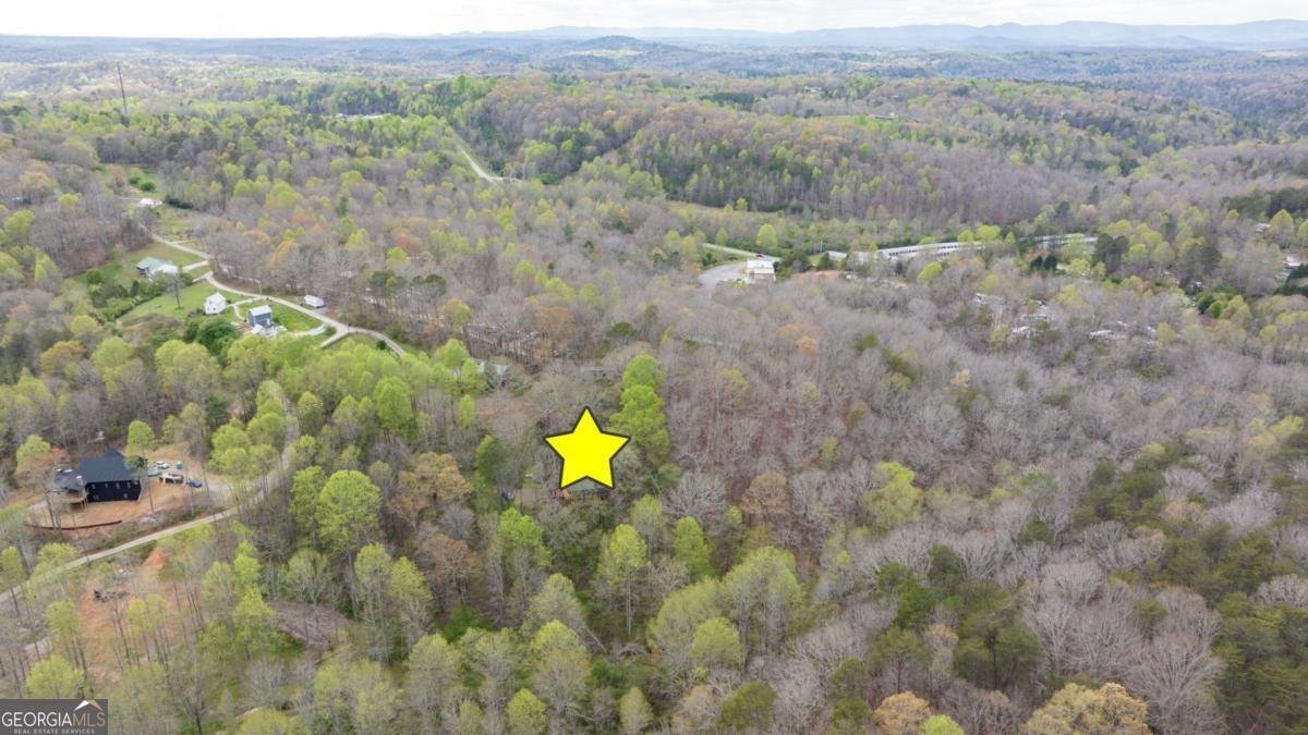 87 Tolleffs Trail Dahlonega - 57