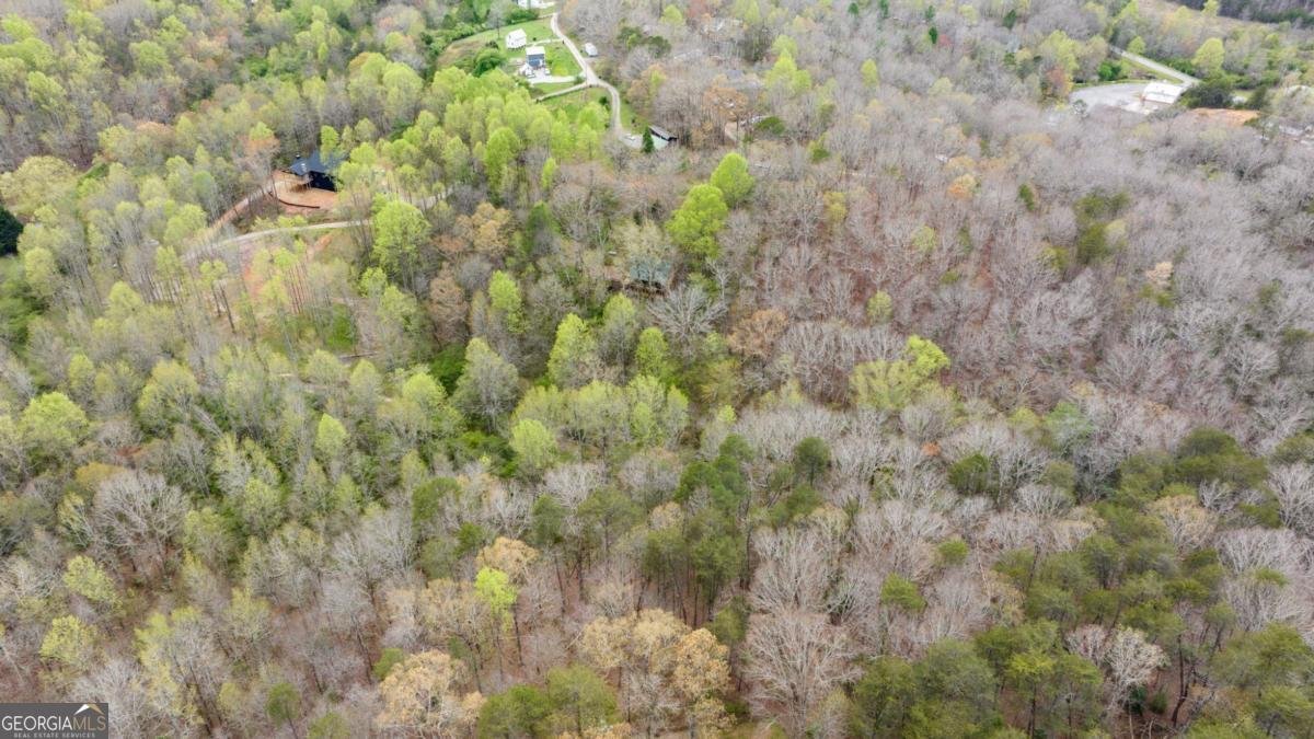 87 Tolleffs Trail Dahlonega - 60