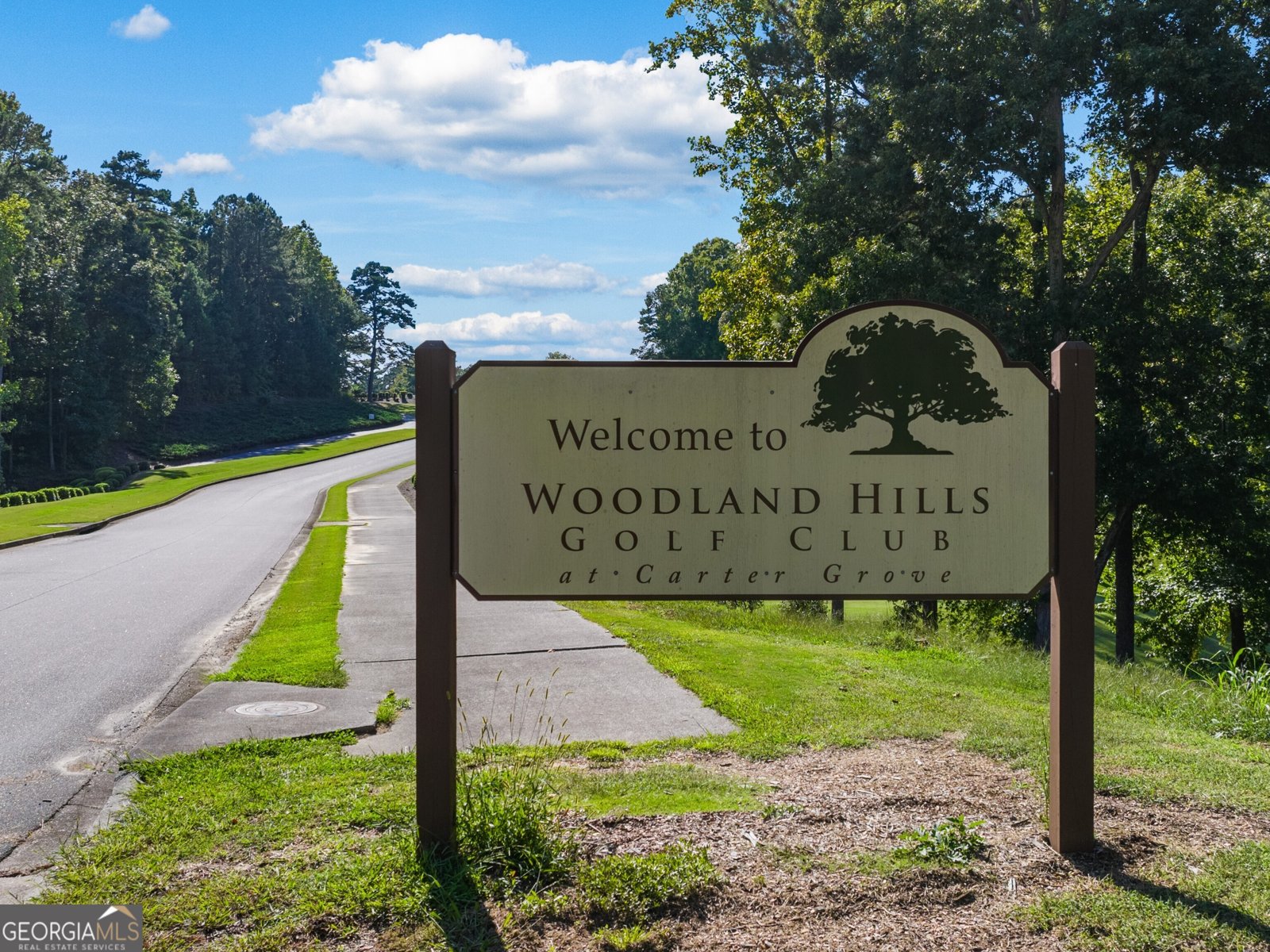 157 Landsdowne Way Cartersville - 53