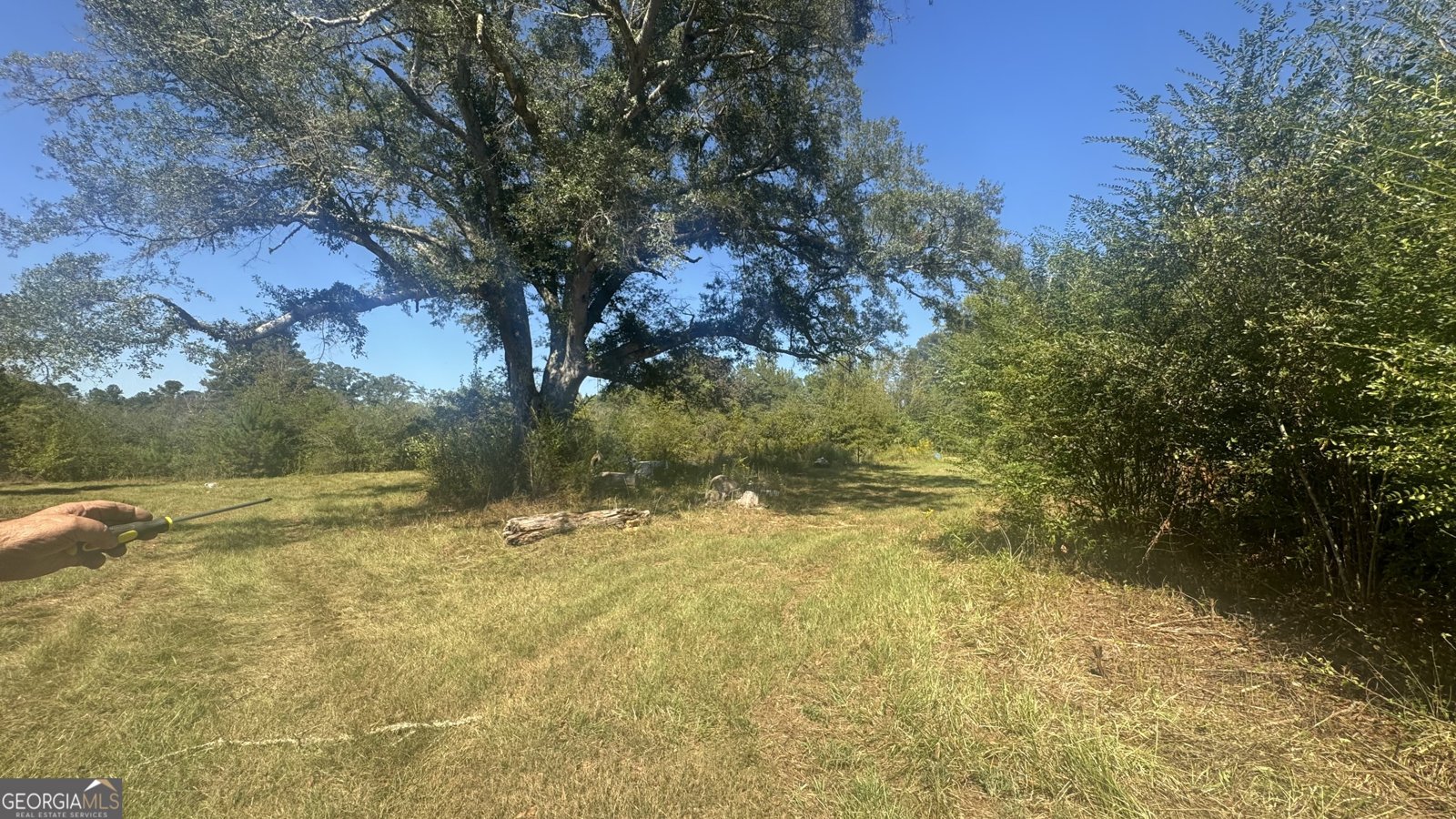 56009 Alabama 22 Roanoke - 2