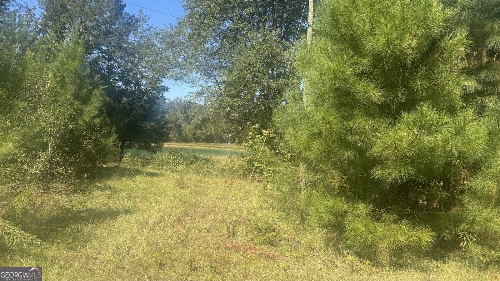 56009 Alabama 22 Roanoke - 3