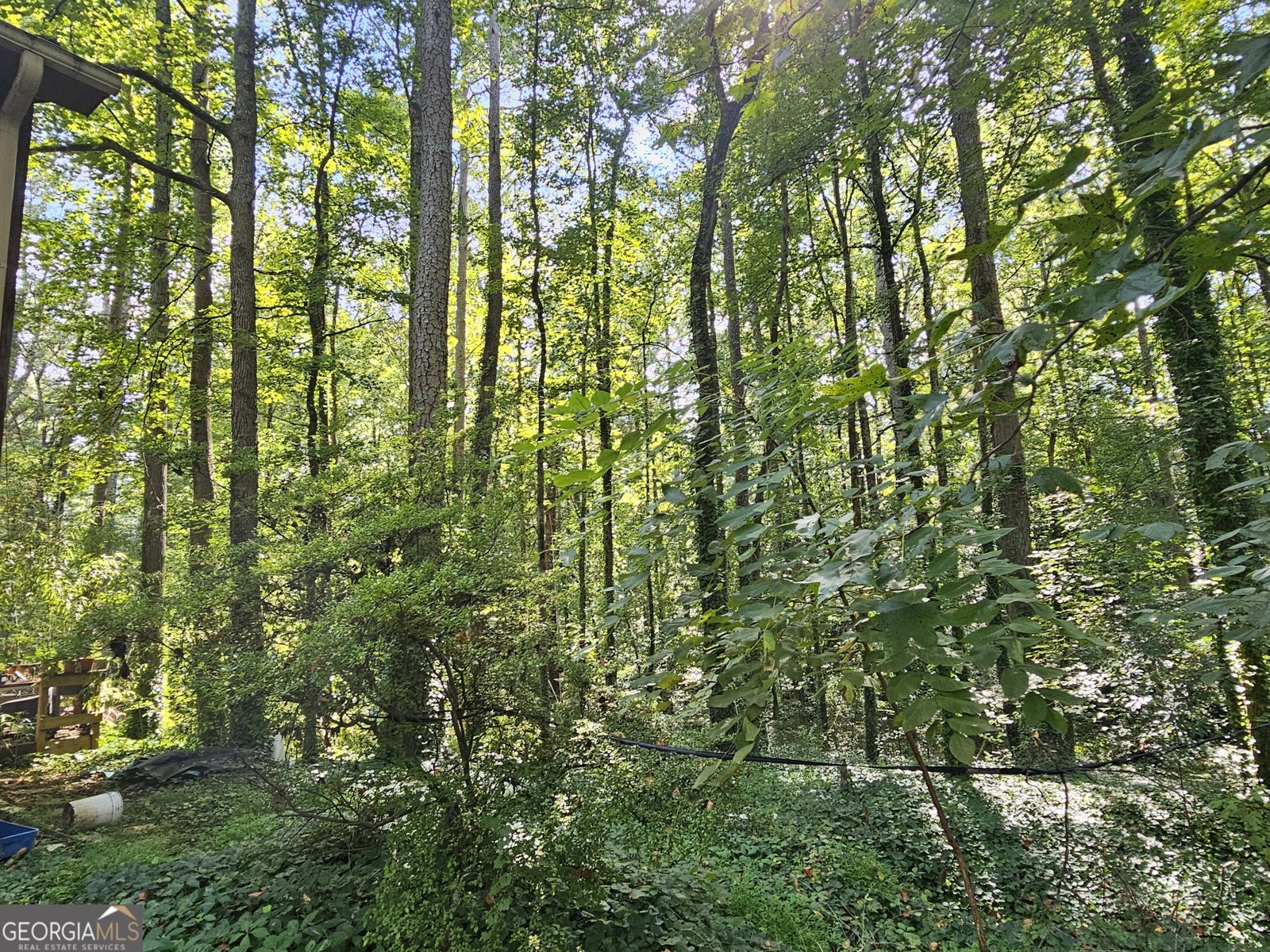 3025 Wayward Drive Marietta - 19