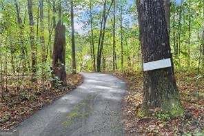 105 Holcomb Road Dawsonville - 43