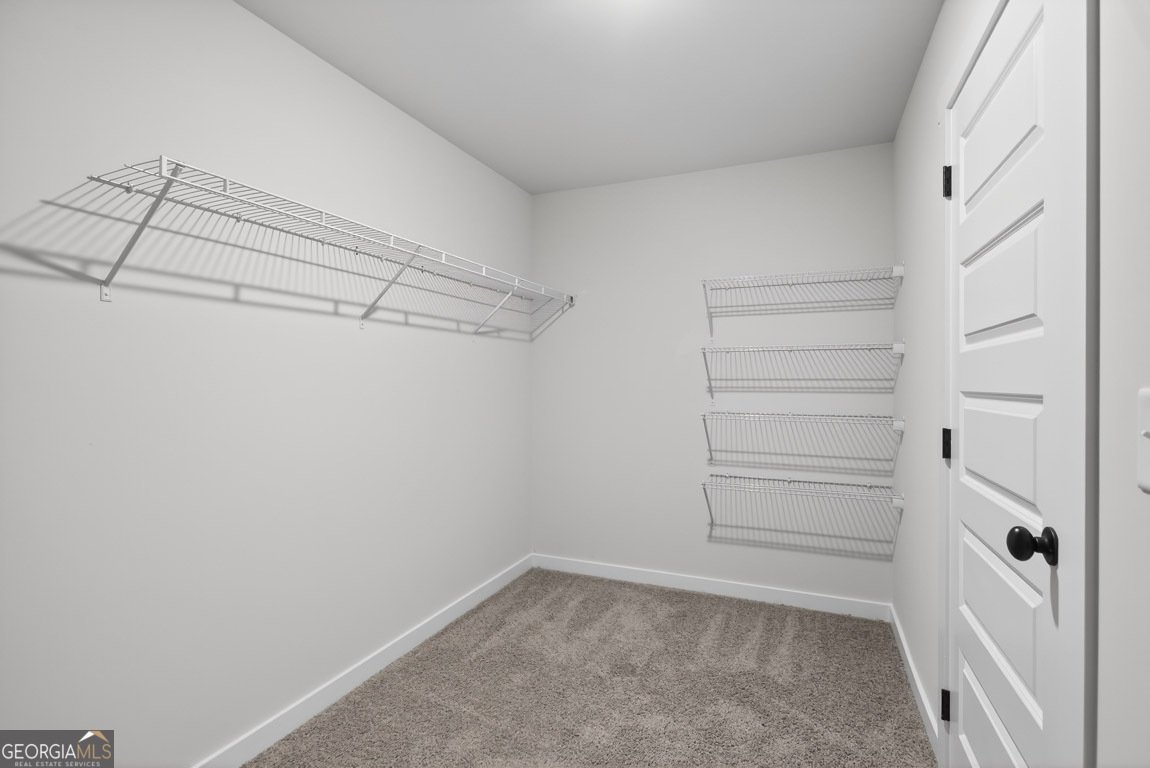 160 Chad Walk Statham - 50