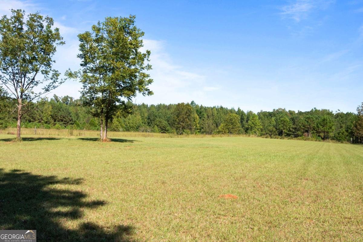 347 Finney Road Pine Mountain - 60
