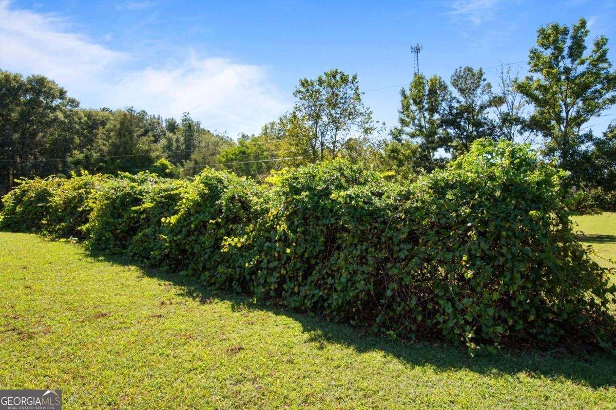 347 Finney Road Pine Mountain - 62