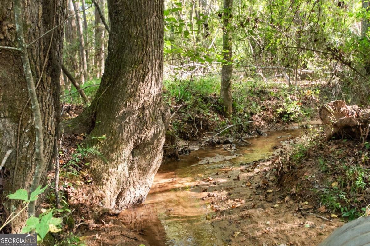 347 Finney Road Pine Mountain - 9