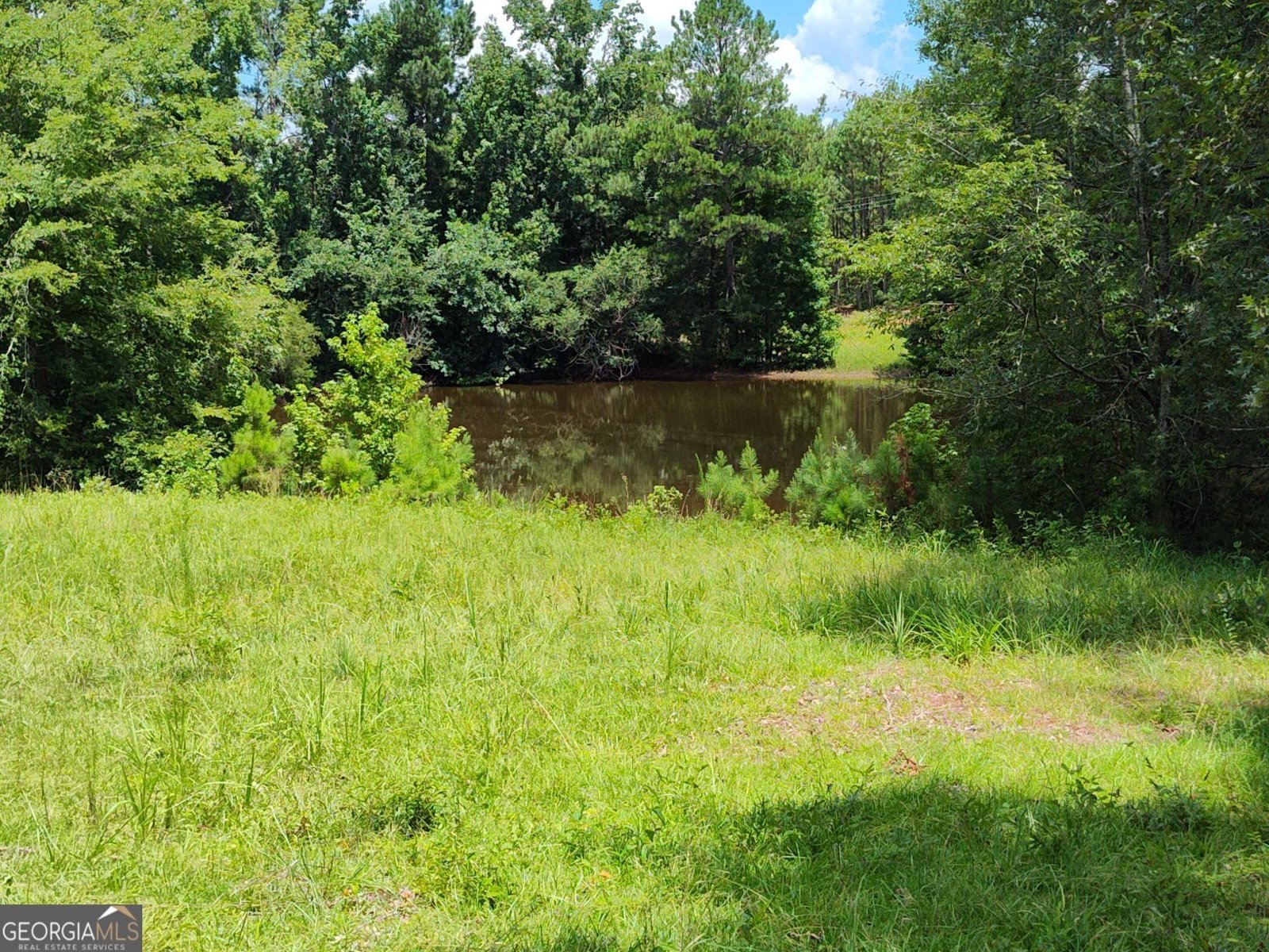 3366 Hester Road Elberton - 19