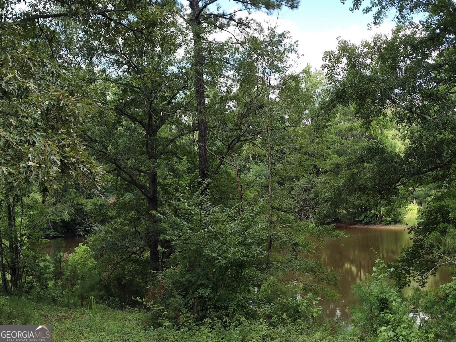 3366 Hester Road Elberton - 20