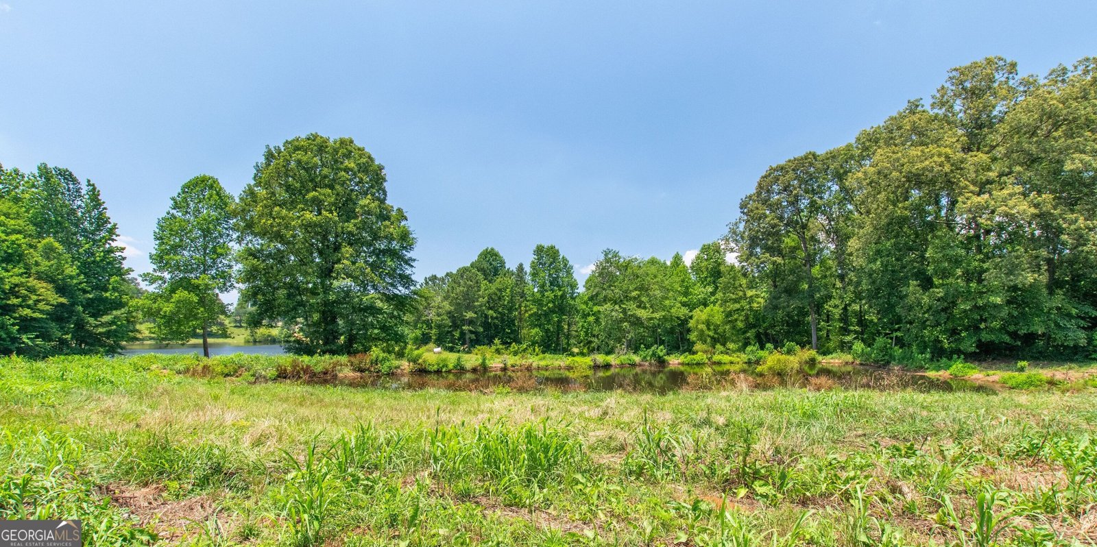 1358 5 Highway Roopville - 27