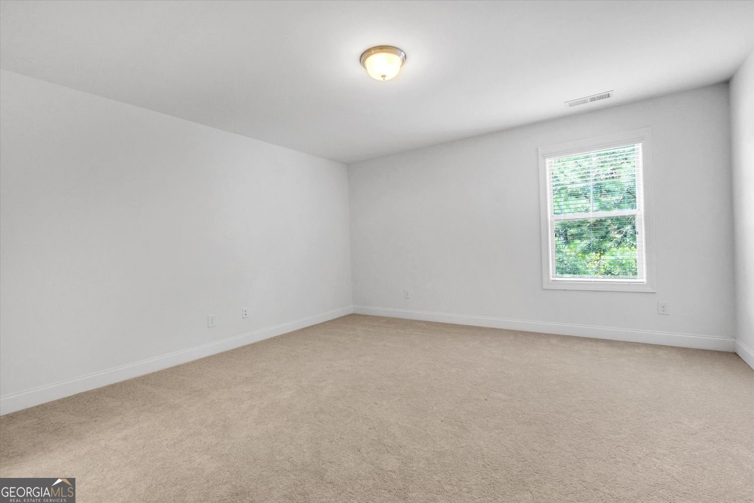 217 Sweetbriar Club Drive Woodstock - 11