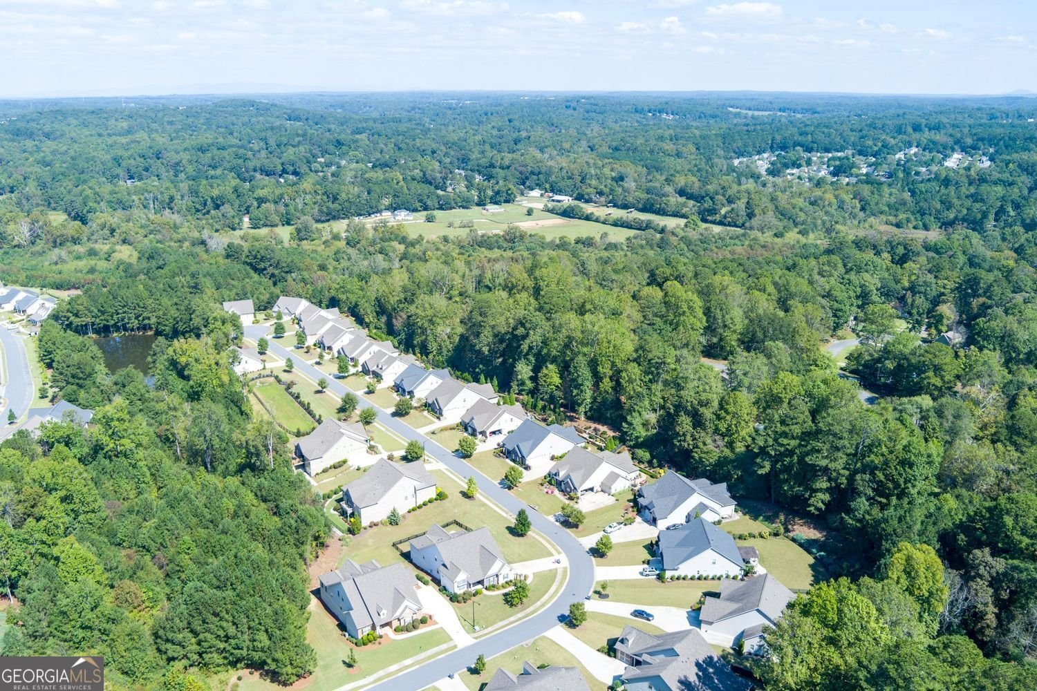 217 Sweetbriar Club Drive Woodstock - 27