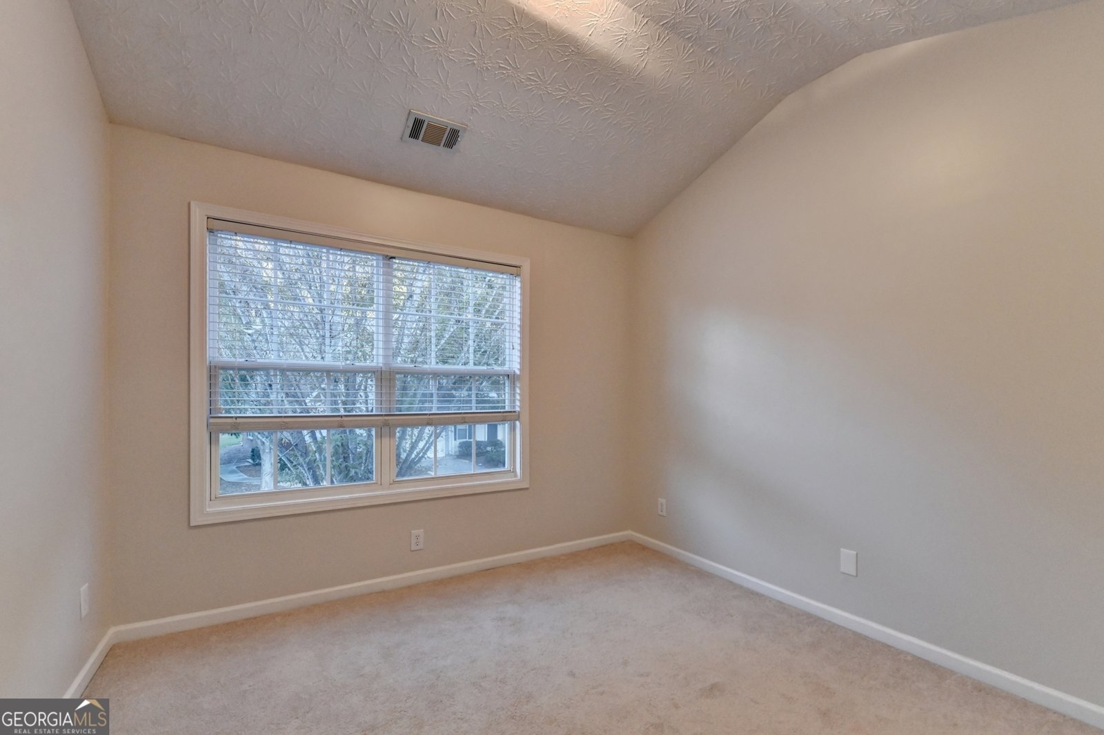 965 Pike Forest Drive Lawrenceville - 29