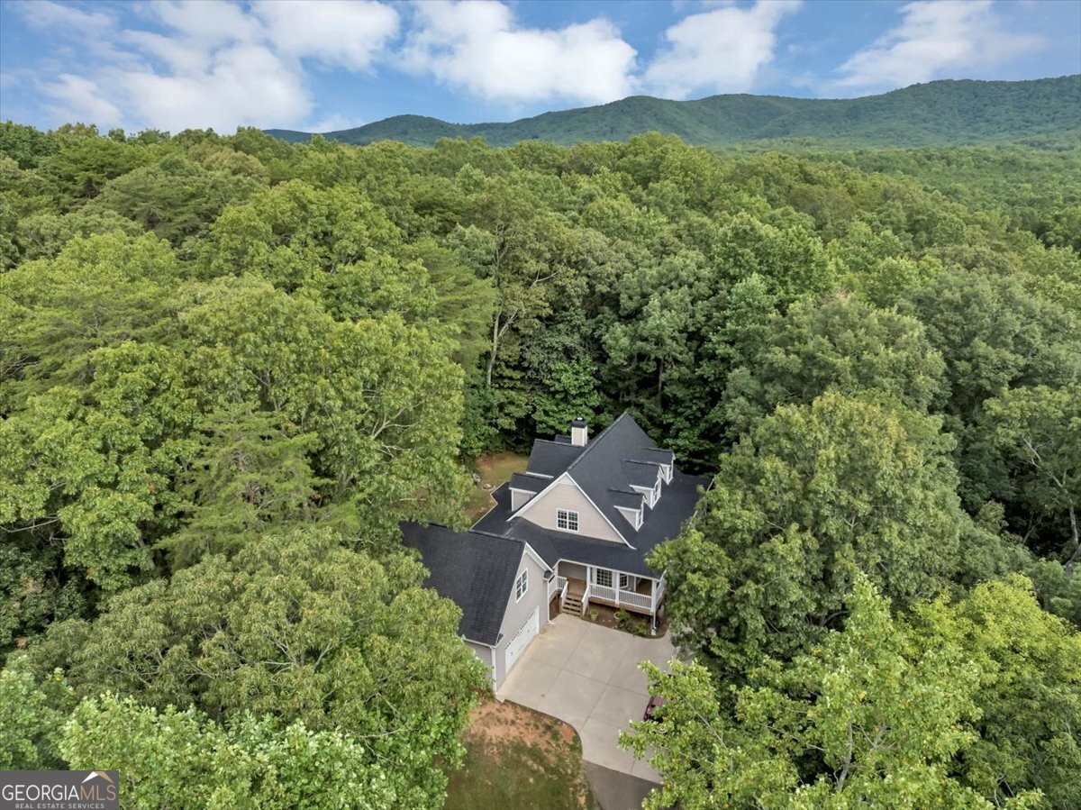 231 Beaver Ridge Jasper - 65