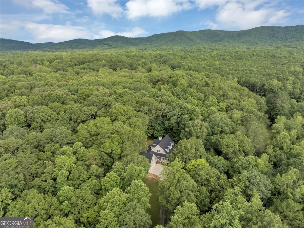 231 Beaver Ridge Jasper - 69