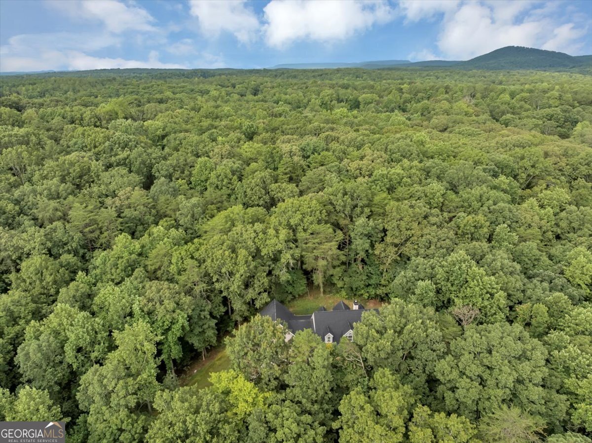 231 Beaver Ridge Jasper - 70