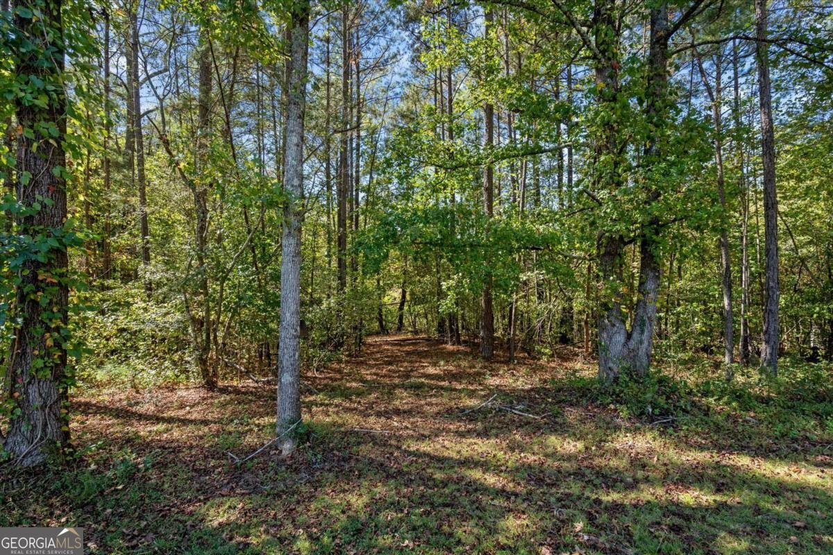 129 Shiloh Church Road Carrollton - 35