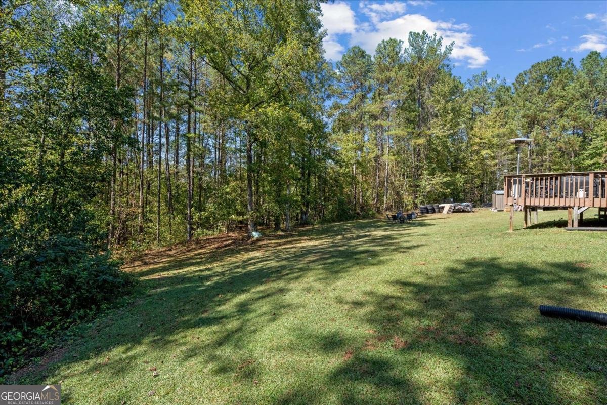 129 Shiloh Church Road Carrollton - 36