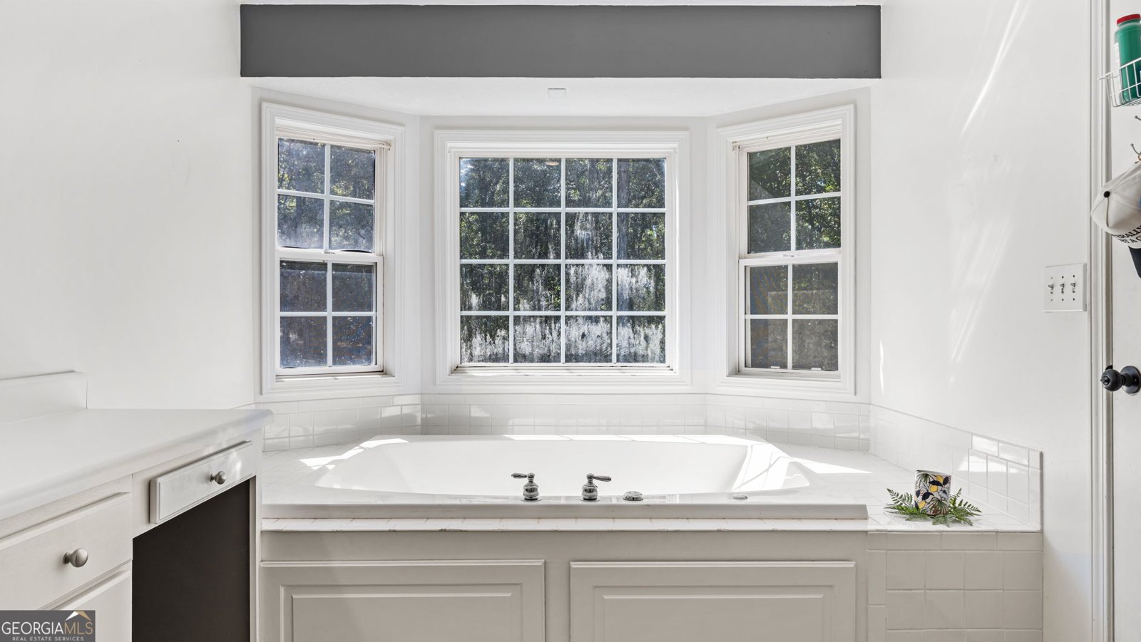 1104 Burkhalter Road Silver Creek - 9