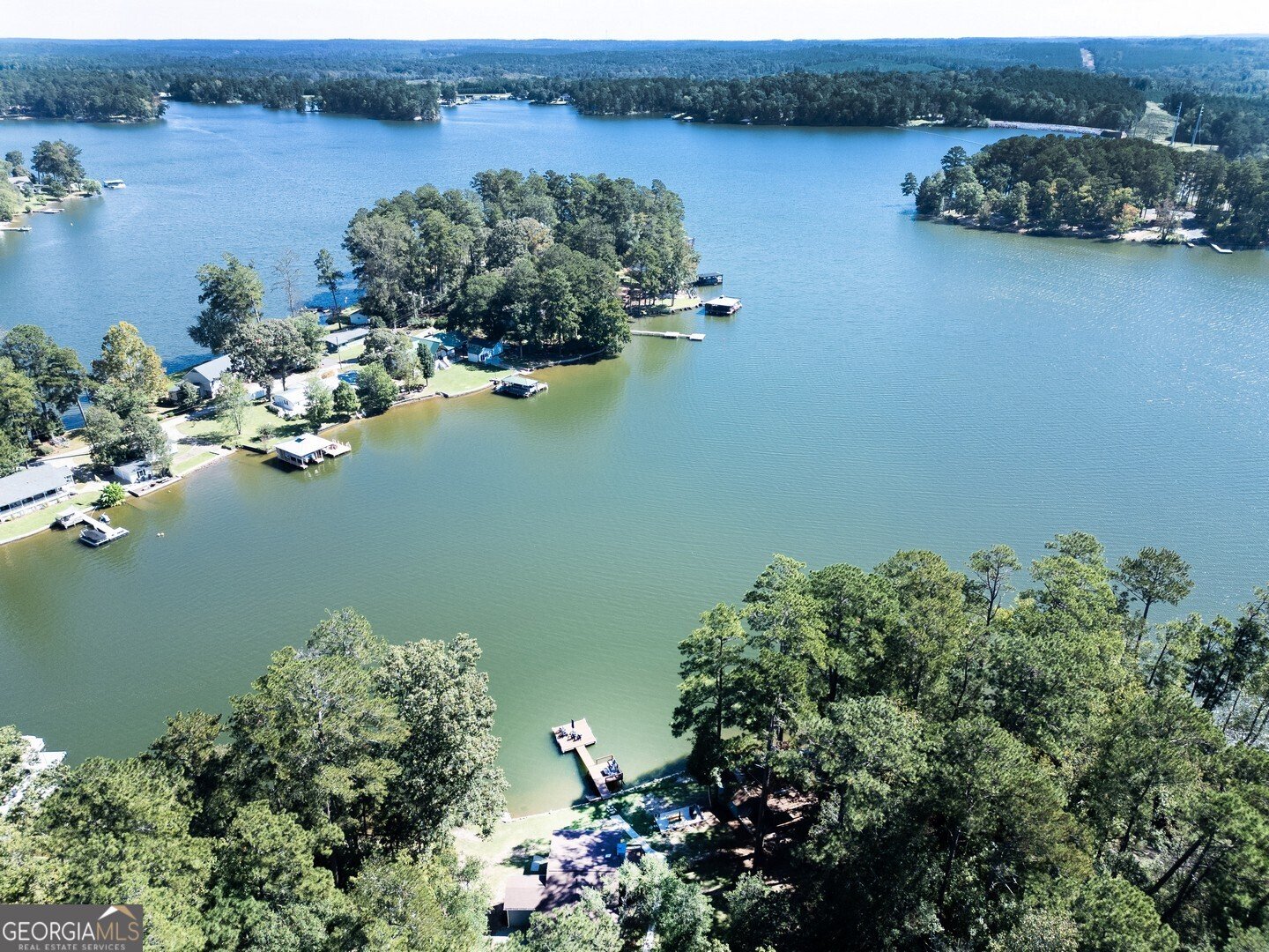 145 Dogwood Lane Jackson - 2