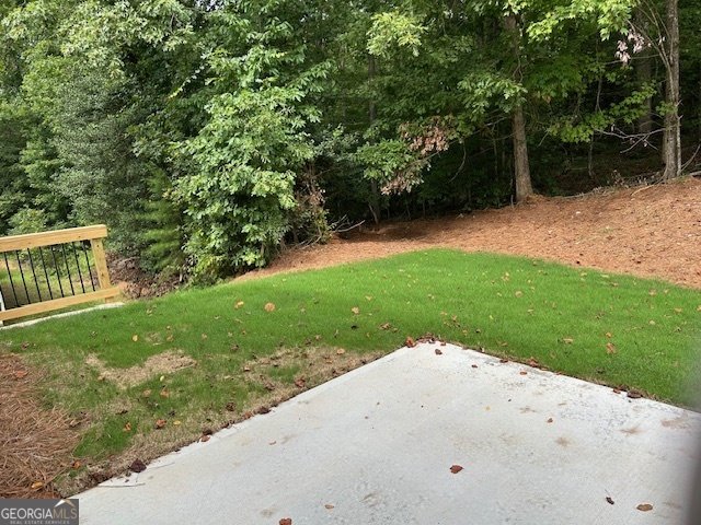 158 Saluda Drive Demorest - 5
