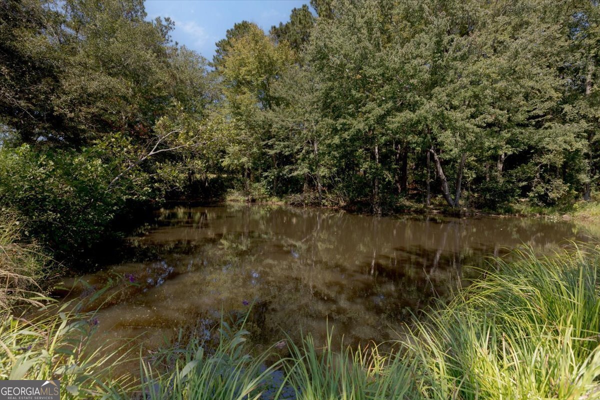 7746 Lower Thomaston Road Macon - 76
