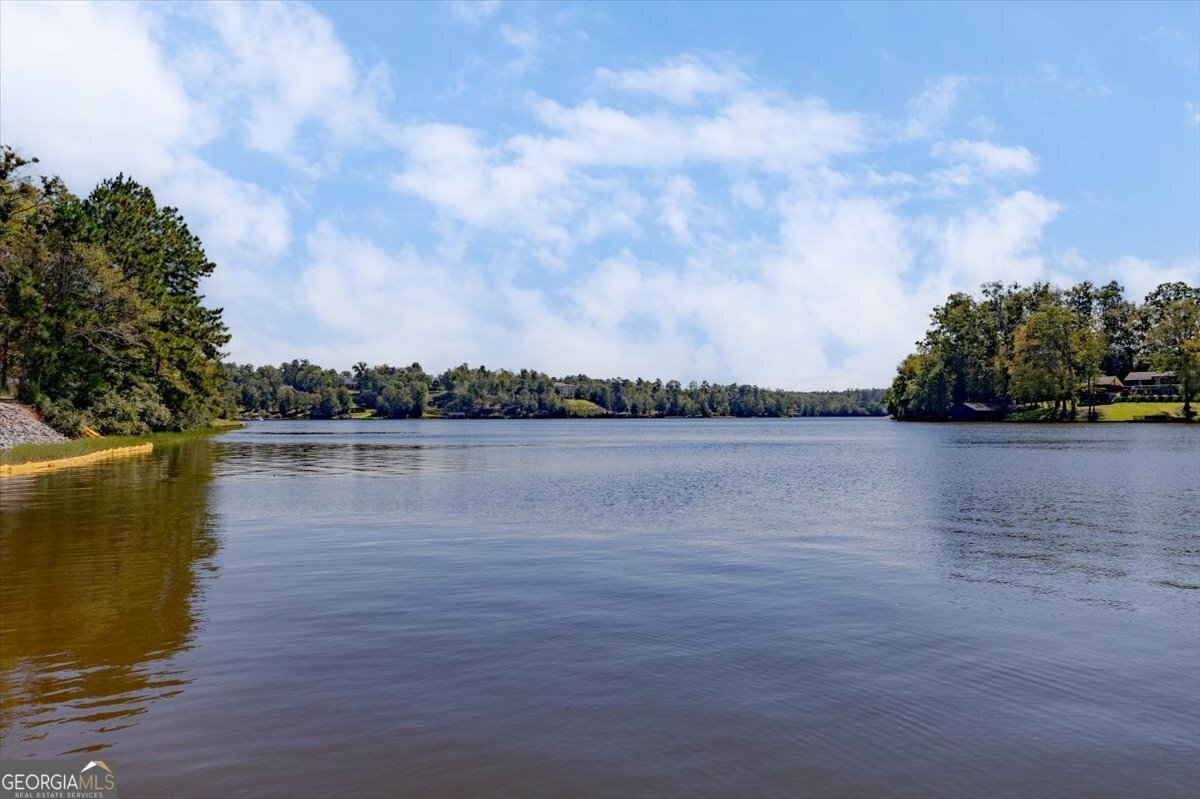 7746 Lower Thomaston Road Macon - 79