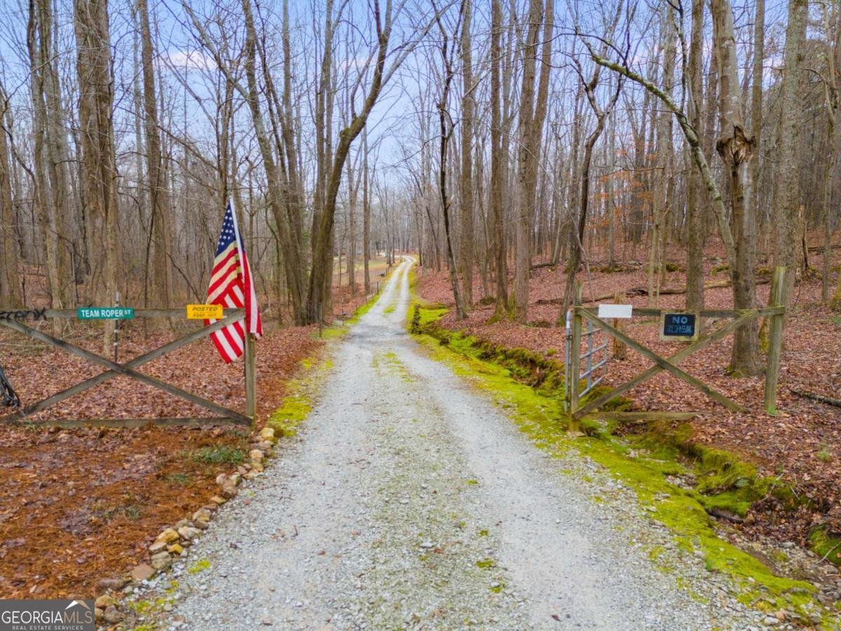 630 Stoney Point Road Bowdon - 3