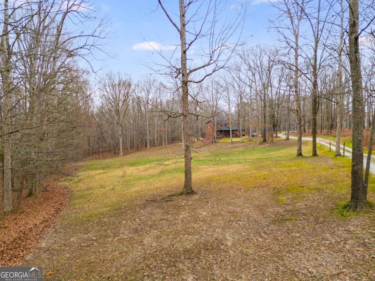 630 Stoney Point Road Bowdon - 5