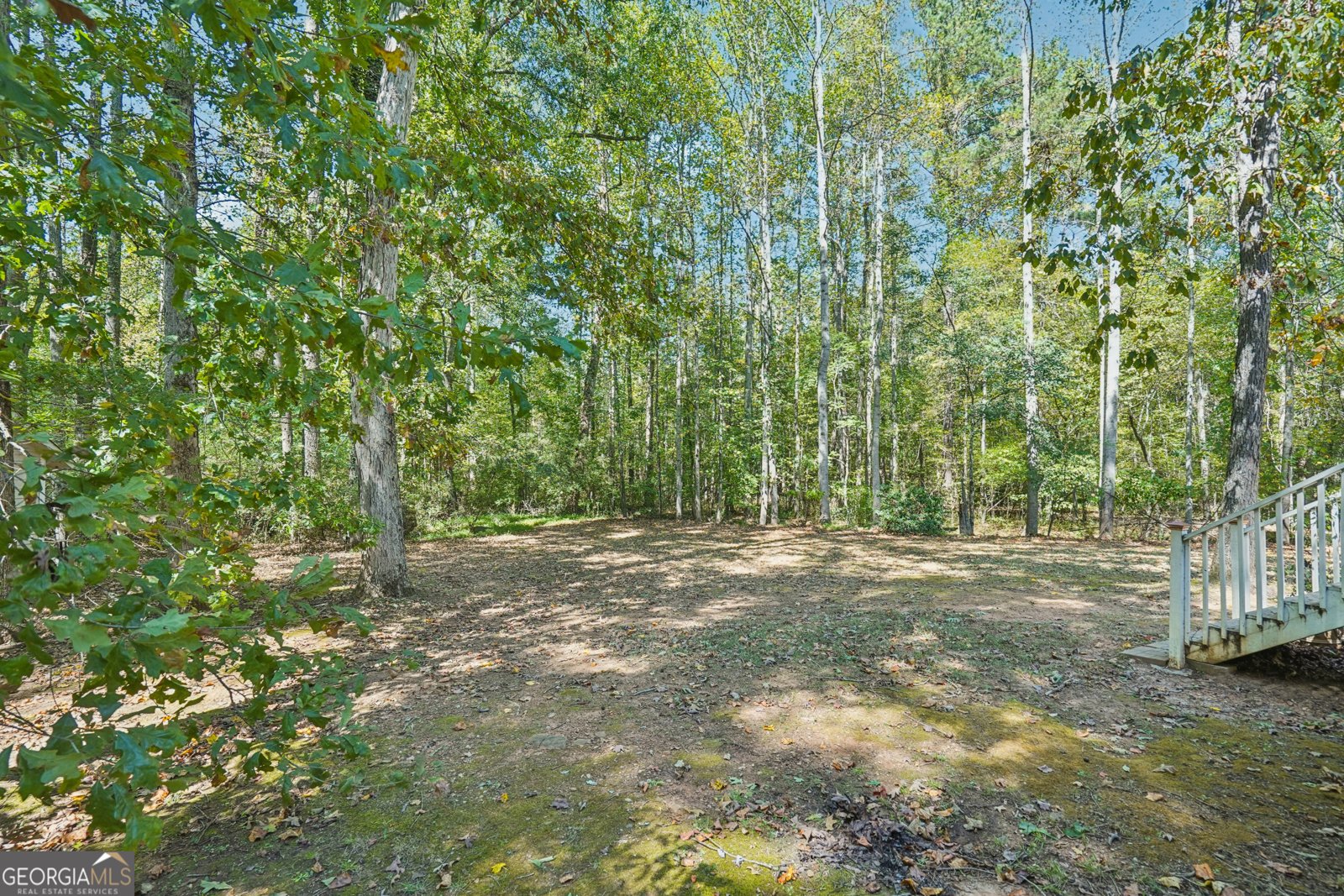 275 Fairview Chase Covington - 26