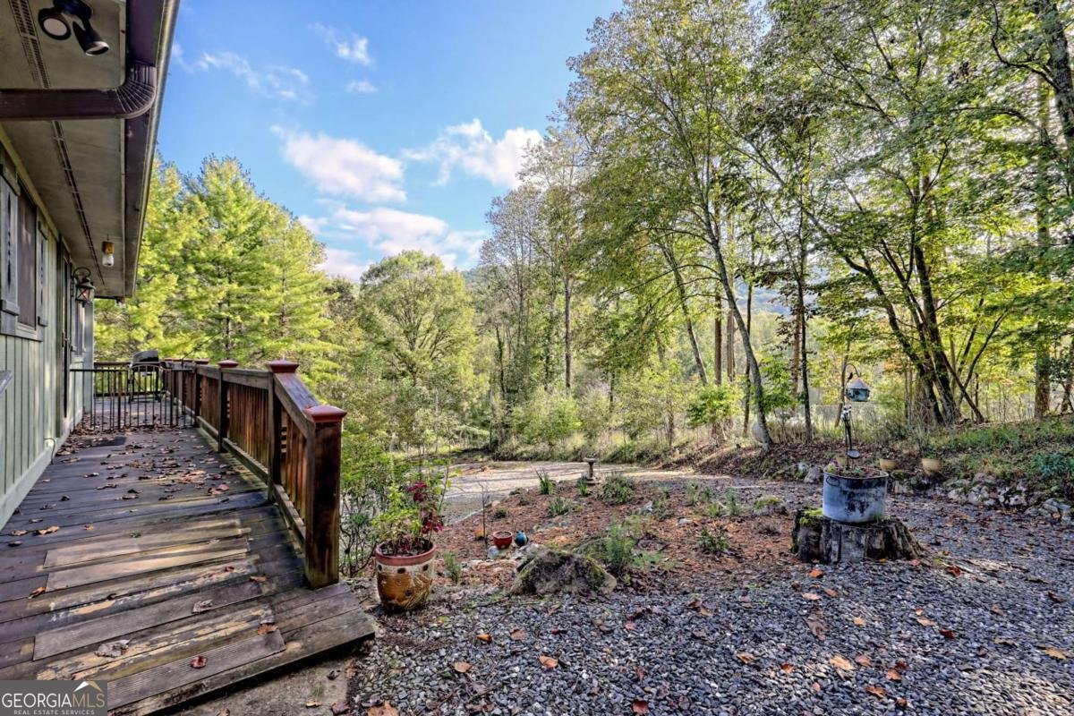 206 Peckerwood Road Hayesville - 1