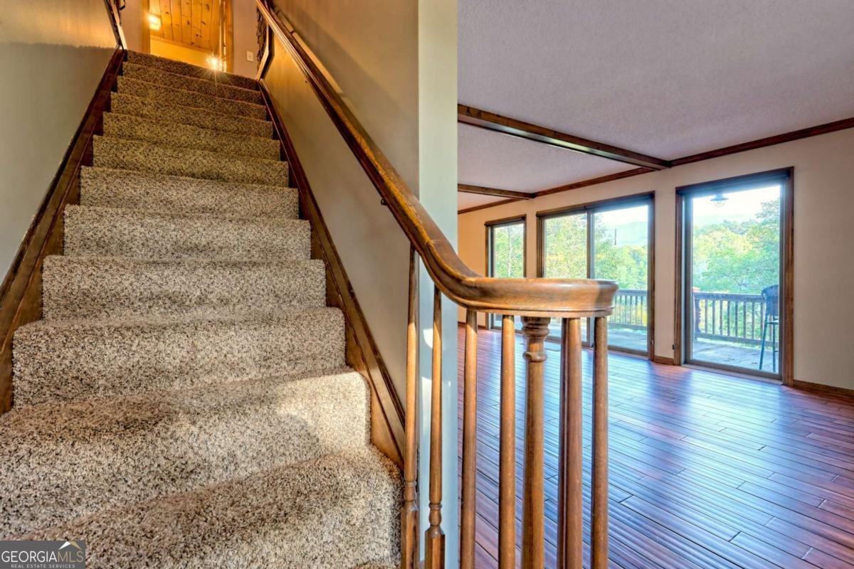 206 Peckerwood Road Hayesville - 27